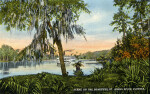 A Scene on the Beautiful St. Johns River
