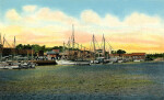A Scene Showing the Sponge Fleet in the Harbor at Tarpon Springs, Florida