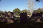 A Shadowy Cemetery
