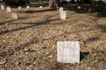 A Standard Tablet Headstone in Tallahassee