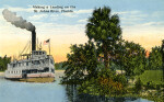 A Steamship Making a Landing on the St. Johns River