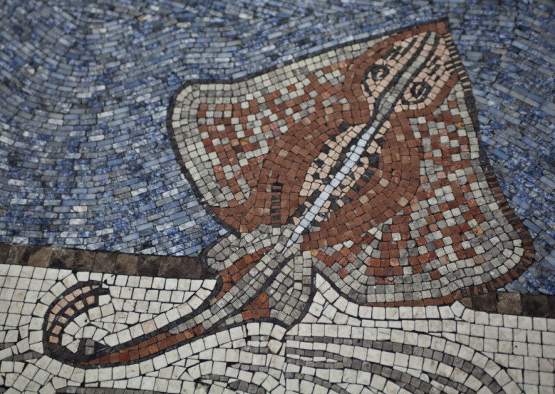 A Stingray in a Mosaic