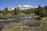 A Stream Running near Mammoth Peak