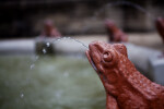 A Terracotta Frog on a Fountain