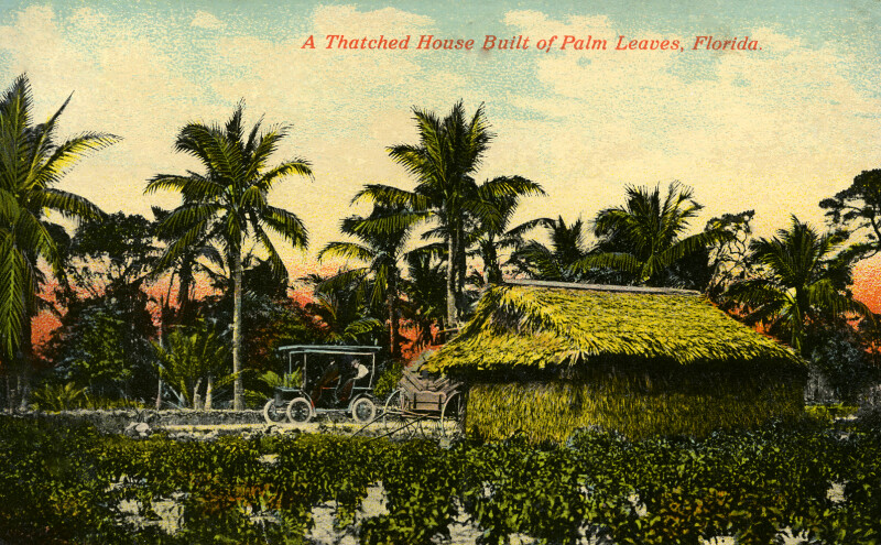 A Thatched House Built of Palm Leaves in Florida