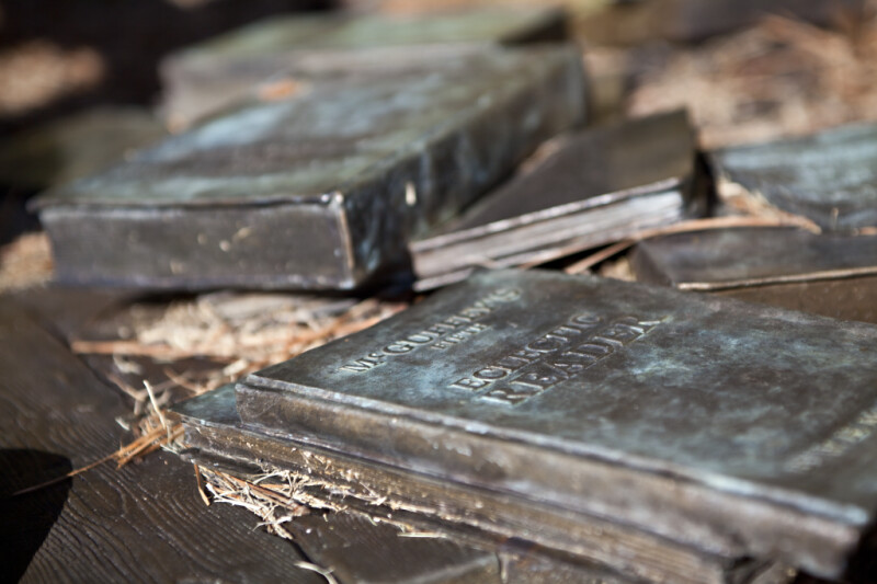 A View of Bronze Books Scattered over Leaf Litter