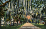 A View of Bungalows Along Ridgewood Avenue in Daytona, Florida