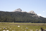 A View of Fairview Dome over the Meadow