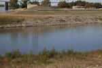 A View Of Mud Island River Park, from across Wolf River Lagoon