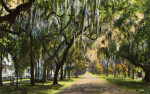 A View of Ridgewood Avenue, Daytona, Florida