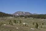 A View of Tioga Peak