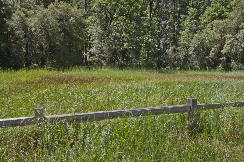 A Wood Fence in a Grassy Field