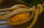 A Wooden Pulley with Cordage