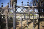 A Wrought Iron Fence