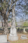 A Young Woman's Obelisk