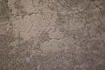 Adobe Texture of the Alvino House