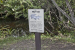 Alligator Warning Sign