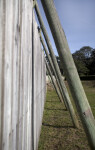 Along a Wooden Fence at Fort Caroline's Reconstruction Site