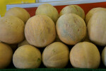 "Ambrosia" Cantaloupes