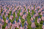 American Flags Representing Fallen Massachusetts Soldiers