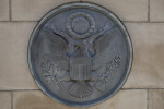 American Seal Close-Up