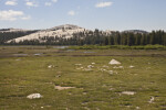 An Exposed Granite Dome across a Meadow