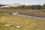 An Exposed Granite Dome