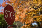 An Oblique View of a Stop Sign