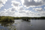 Anhinga Trail of Everglades National Park