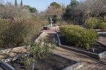 Area with a Variety of Small Shrubs at the San Antonio Botanical Garden