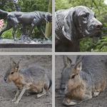 Artis Royal Zoo photographs