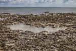 Atlantic Ocean at Biscayne National Park