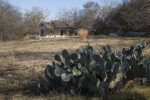 Schumacher House at the San Antonio Botanical Garden from a Distance