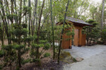 Bamboo and Gate