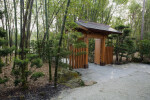 Bamboo near Japanese Gate