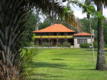 Barnacle House and Palms