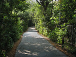 Barnacle Path
