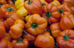 Basket Full of Orange Bell Peppers at Haymarket Square