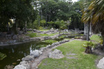 Bayfront Pond