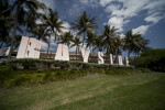 Bayside Sign and Palms