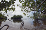 Bear Lake at Everglades National Park