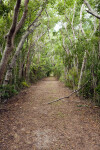 Bear Lake Path