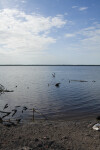 Bear Lake Shore