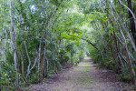 Bear Lake Trail