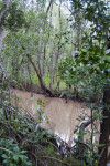 Bear Lake Trail Creek