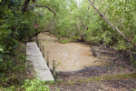 Bear Trail Dock