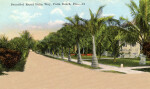 Beautiful Royal Palm Way in Palm Beach, Florida