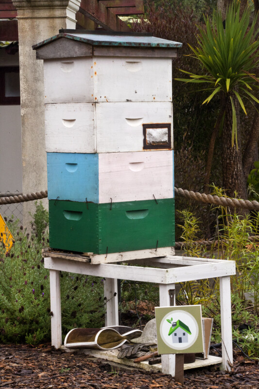 Bee Boxes