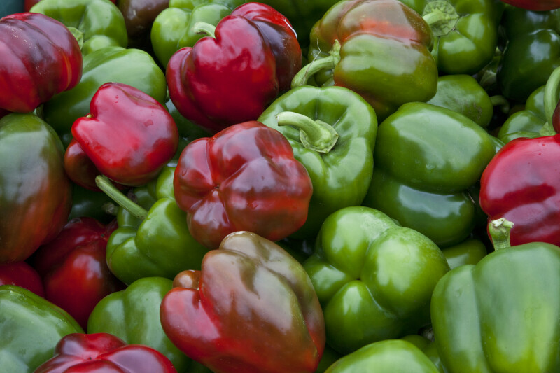 Bell Peppers in Monroeville, PA