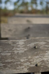 Bench Detail